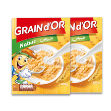 Load image into Gallery viewer, Céréales Grain d'Or – Pack of 2 x 300g | Grain d'Or Wheat Cereal – Pack of 2 x 300g

